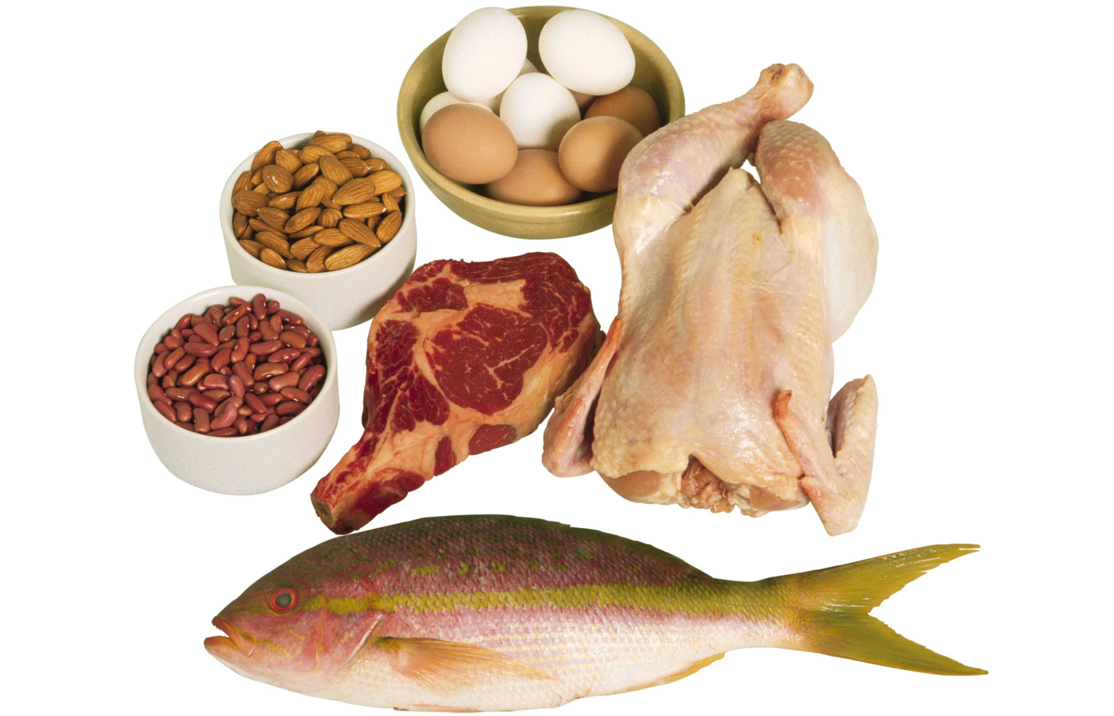 The Power of Protein! - Dietetic Directions - Dietitian and