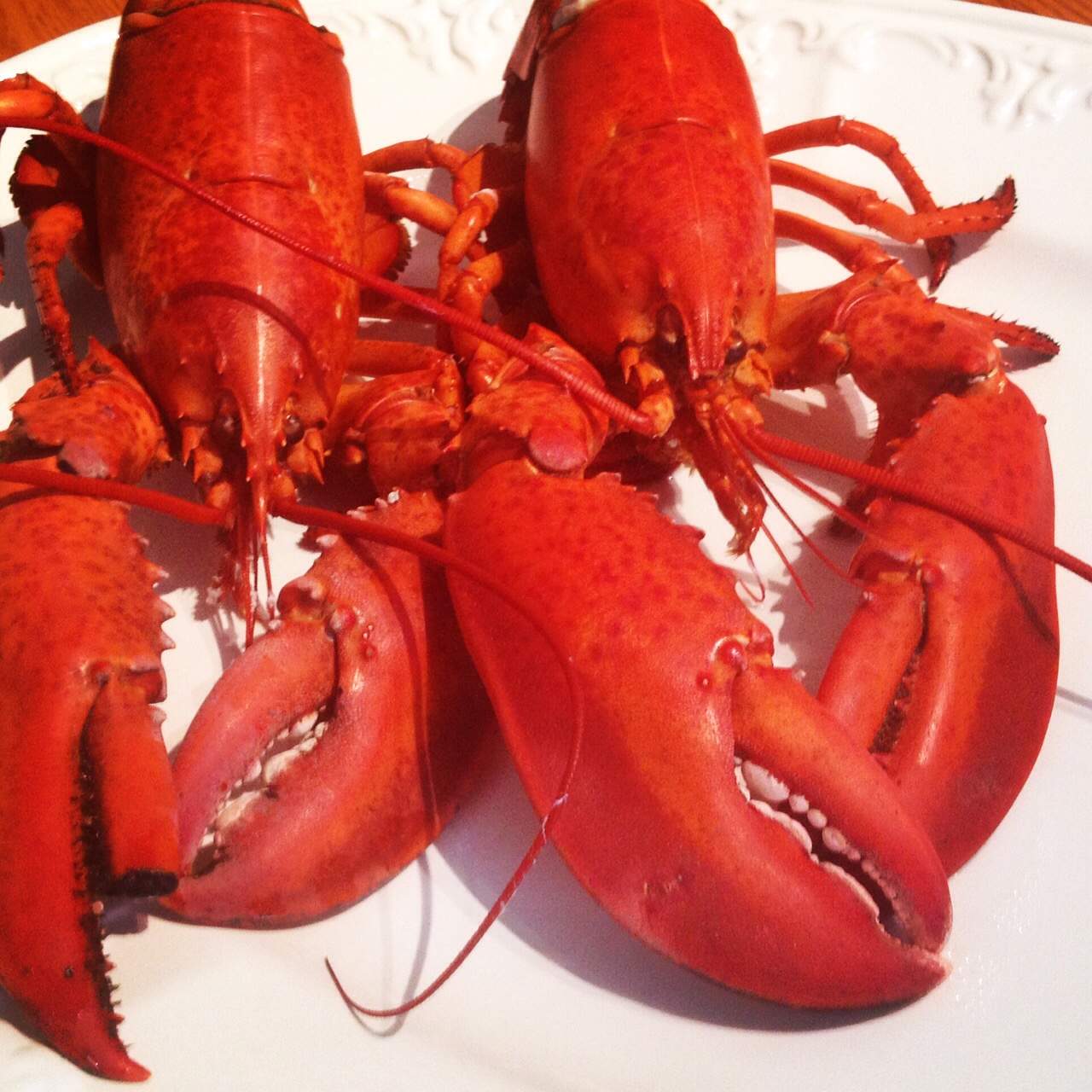 jow-to-make-fresh-lobster-dietetic-directions-dietitian-and