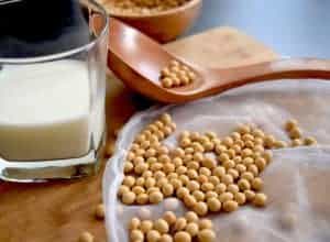 Soybeans soy milk