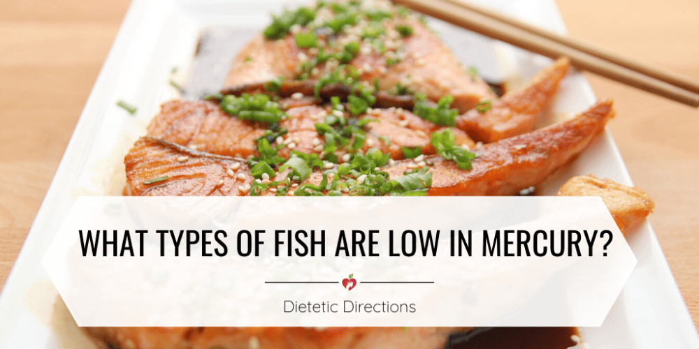 Which Types of Fish are Low in Mercury? - Dietetic Directions