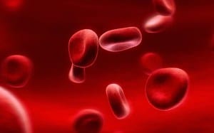 Iron-rich foods blood cells