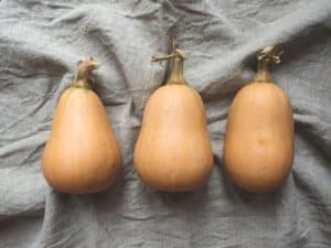 butternut