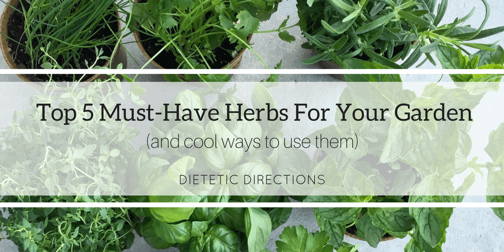 Top 5 Must-Have Herbs For Your Garden