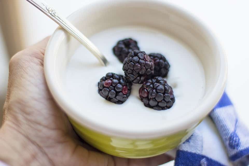 blackberries and yogurt