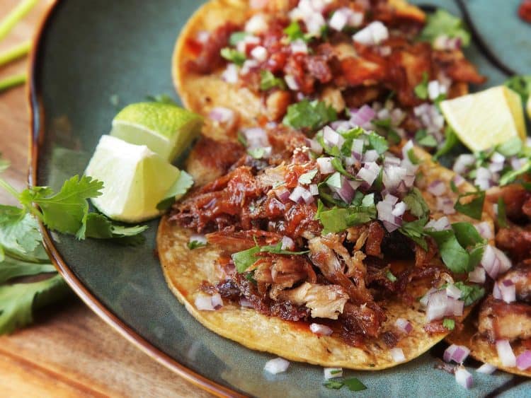 turkey carnitas