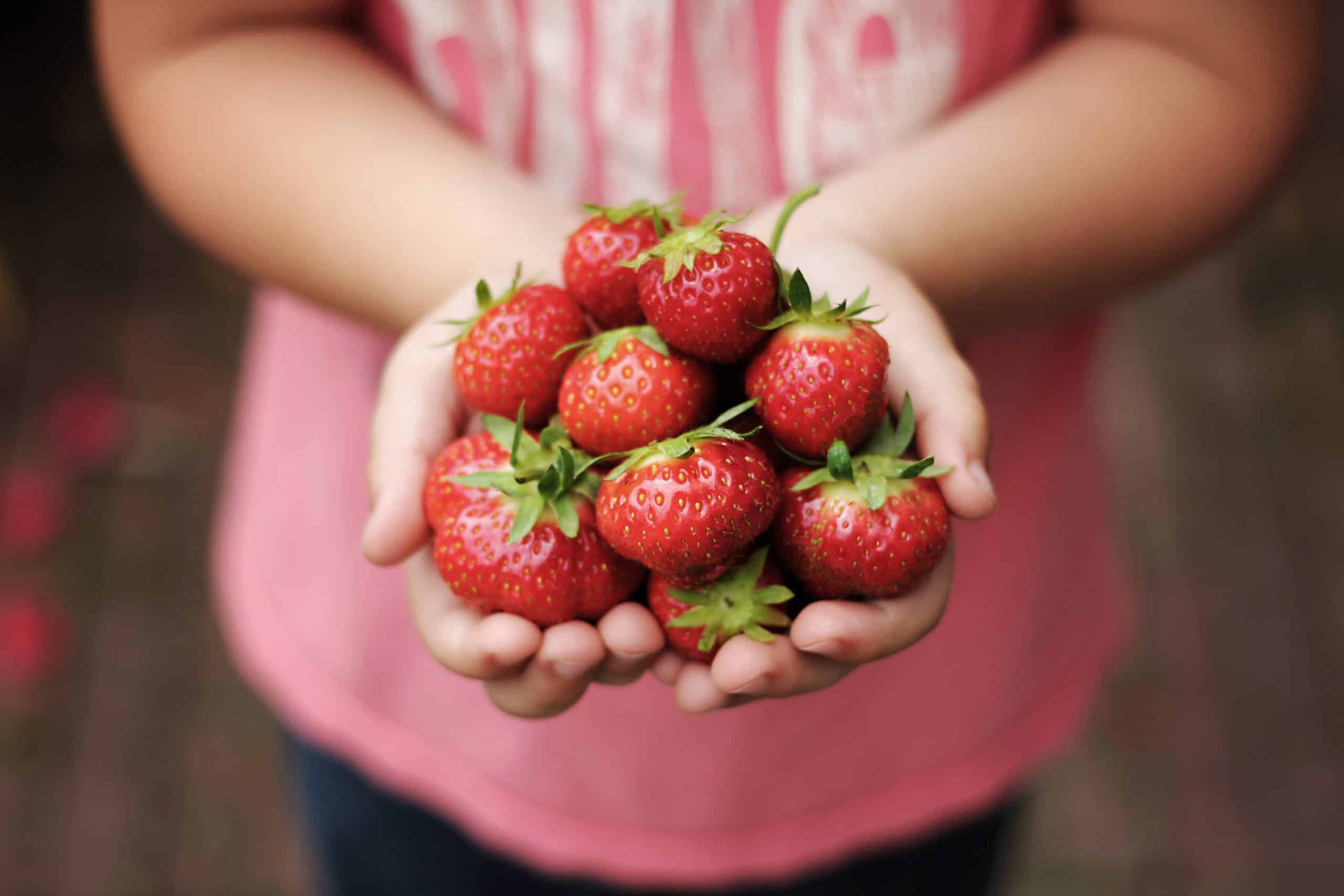 strawberries