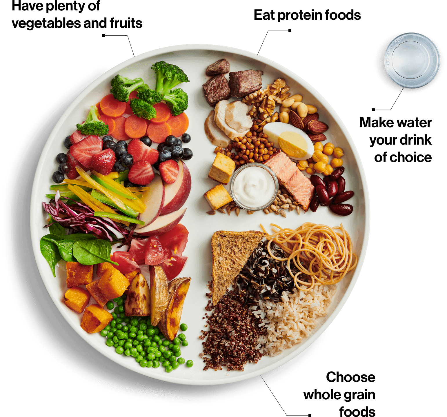 canada food guide