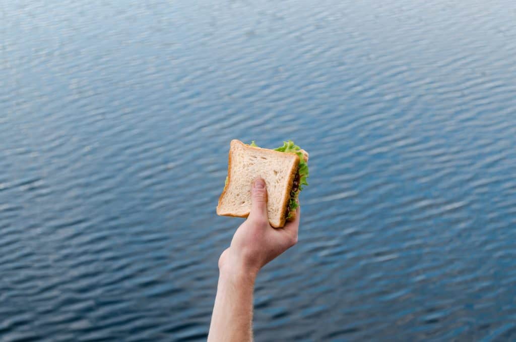 white bread sandwich