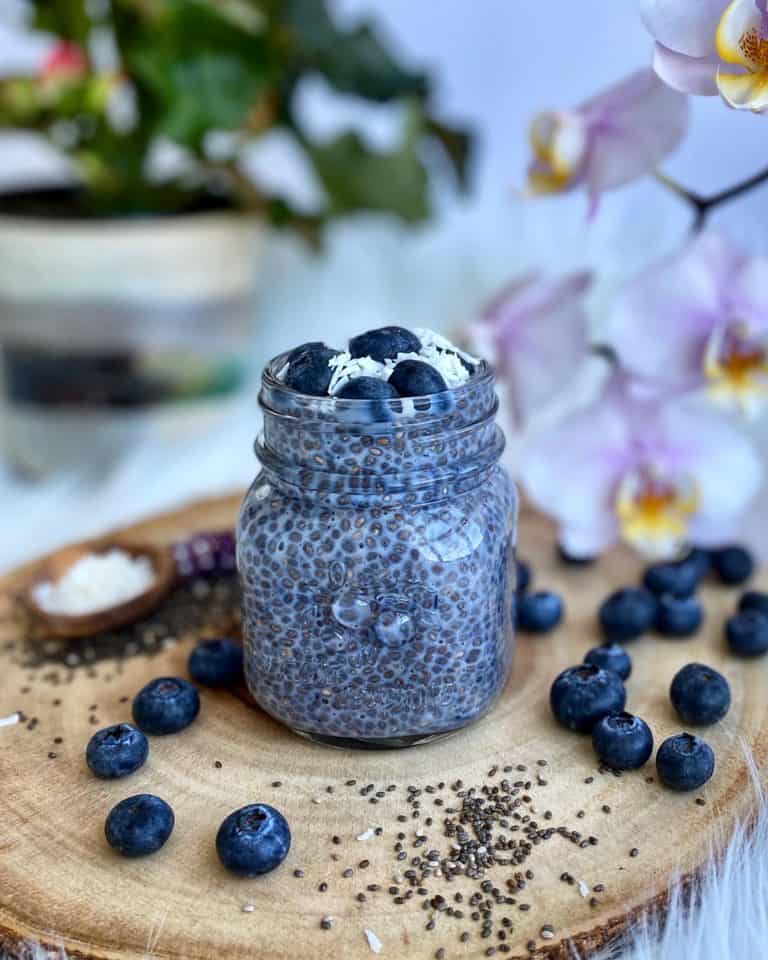 Blueberry Chia Seed Pudding