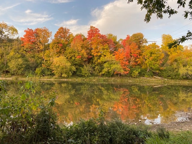 autumn day