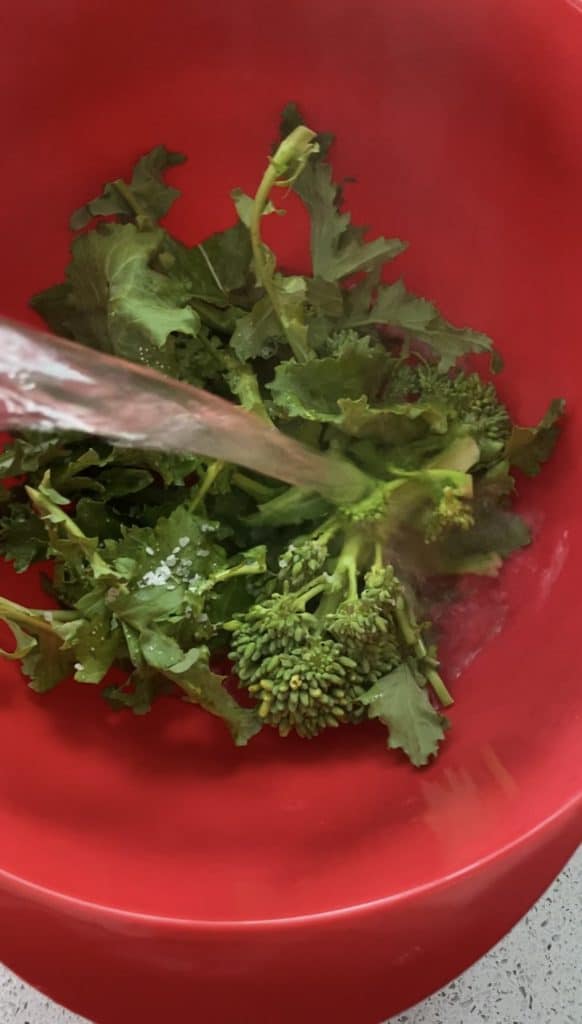 Garlic Rapini Ricotta Toast - Dietetic Directions, Dietitian Recipe