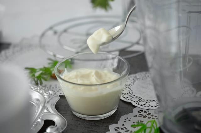 Skyr Icelandic Yogurt scoop