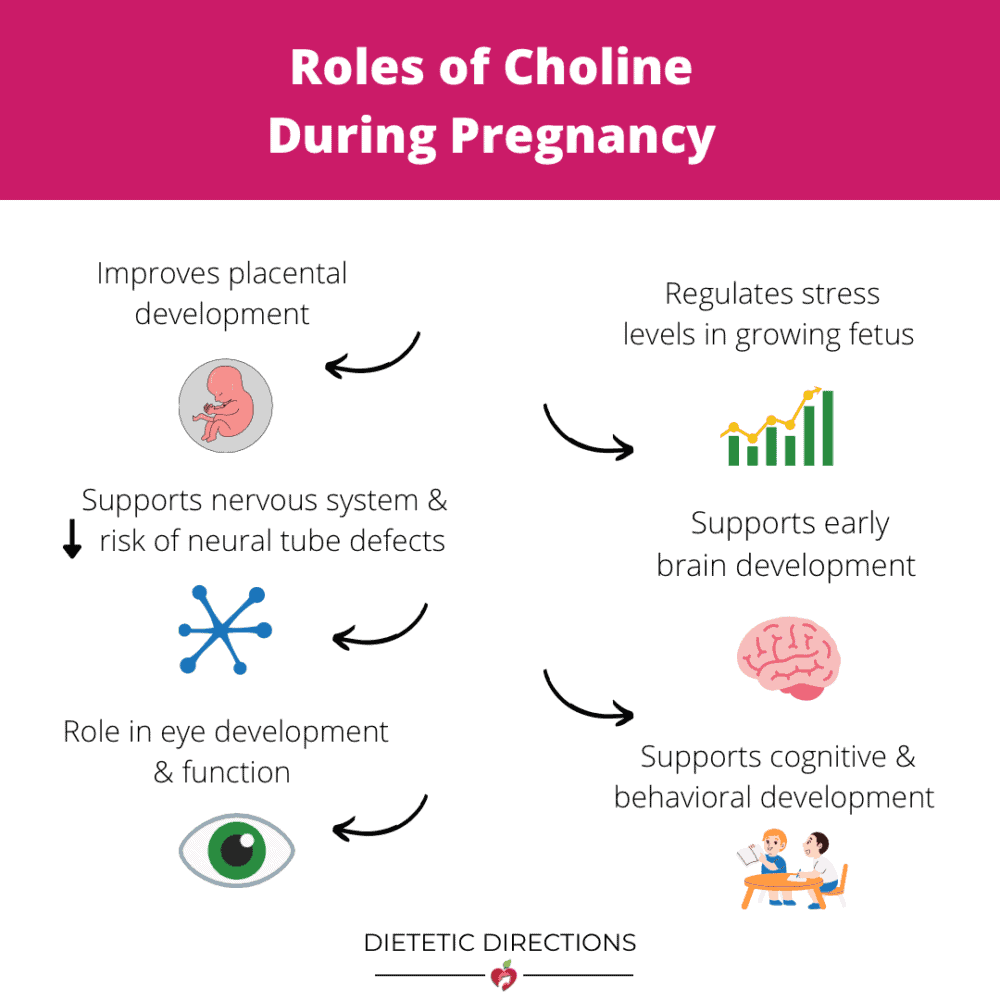 Pregnancy Super Foods | & Nutrition Boosting Tips {Dietitian Blog}
