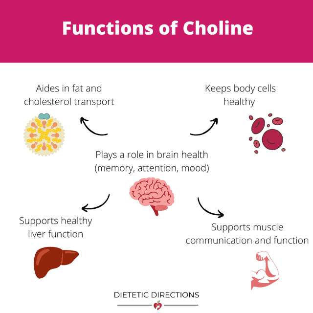 Functions of Choline