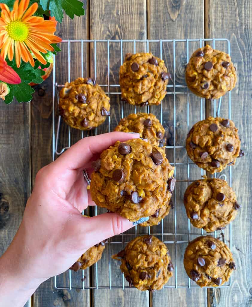 Pumpkin Chocolate Chip Muffins