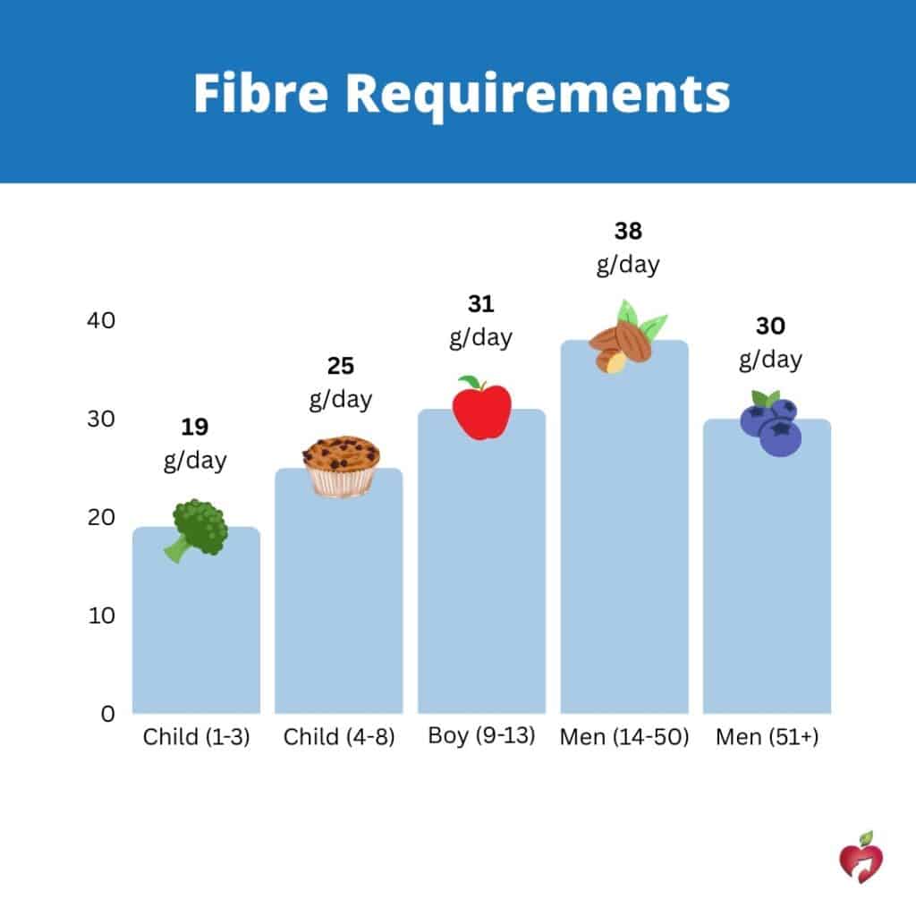 dietary fibre requirements canva 
