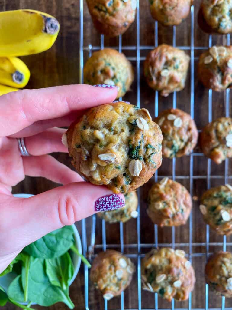 Spinach Banana Muffin Recipe