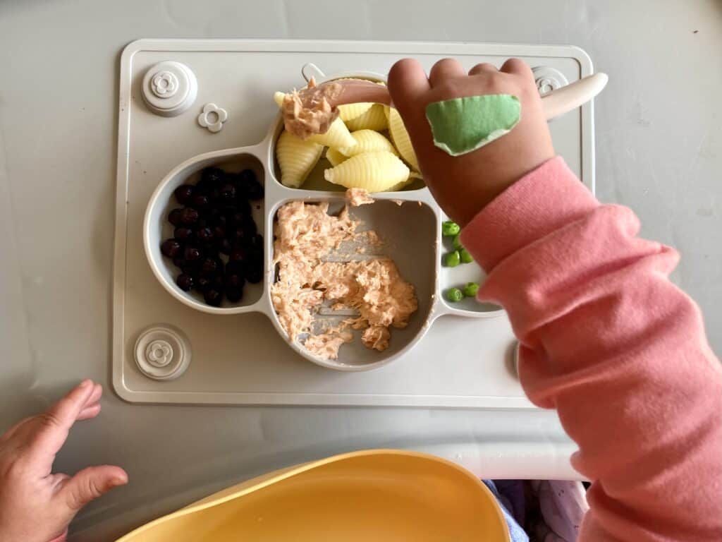 baby meal with salmon pate 