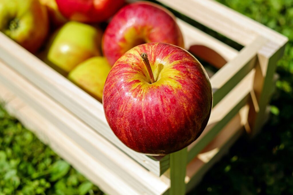 apple with skin whole apple