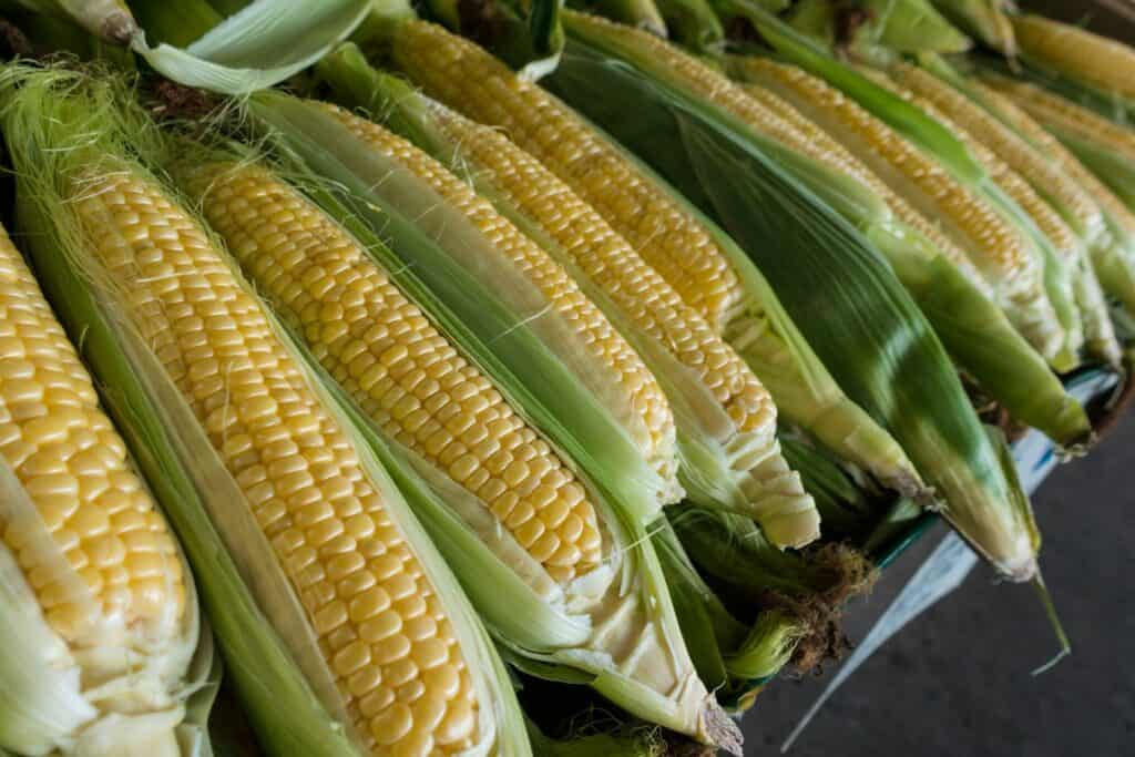 corn on cob - roasted corn recipe 