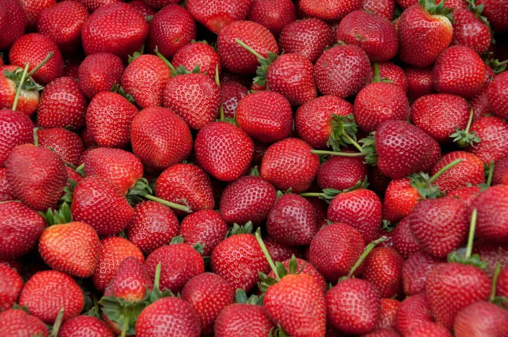Bright red strawberries piled together, showcasing their vibrant color and fresh appearance.