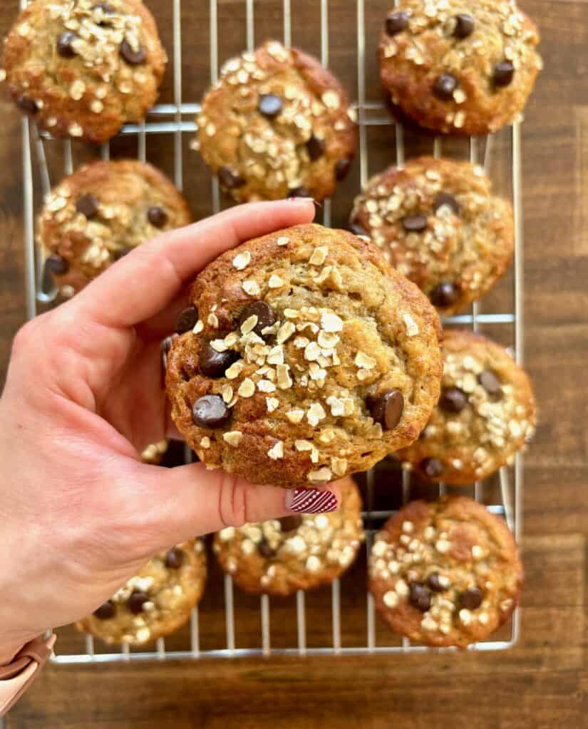 Protein Peanut Butter Banana Muffin