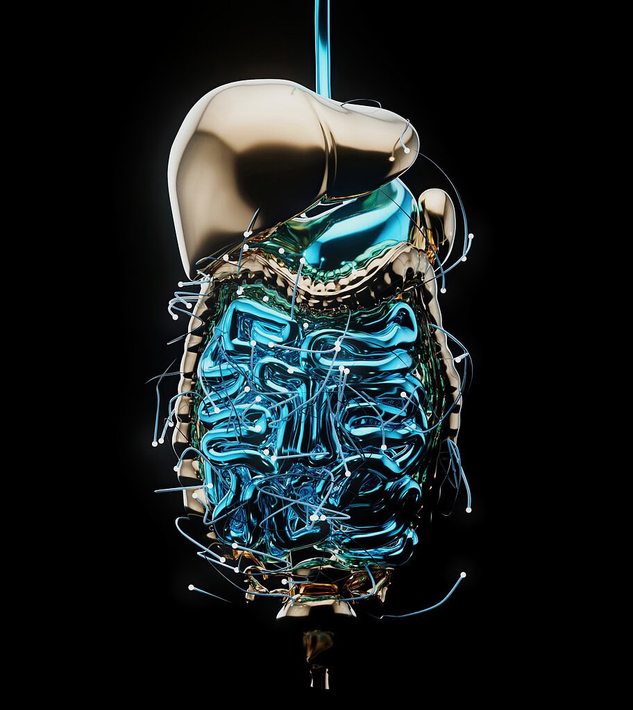 digestion gut - GLP-1 lifestyle