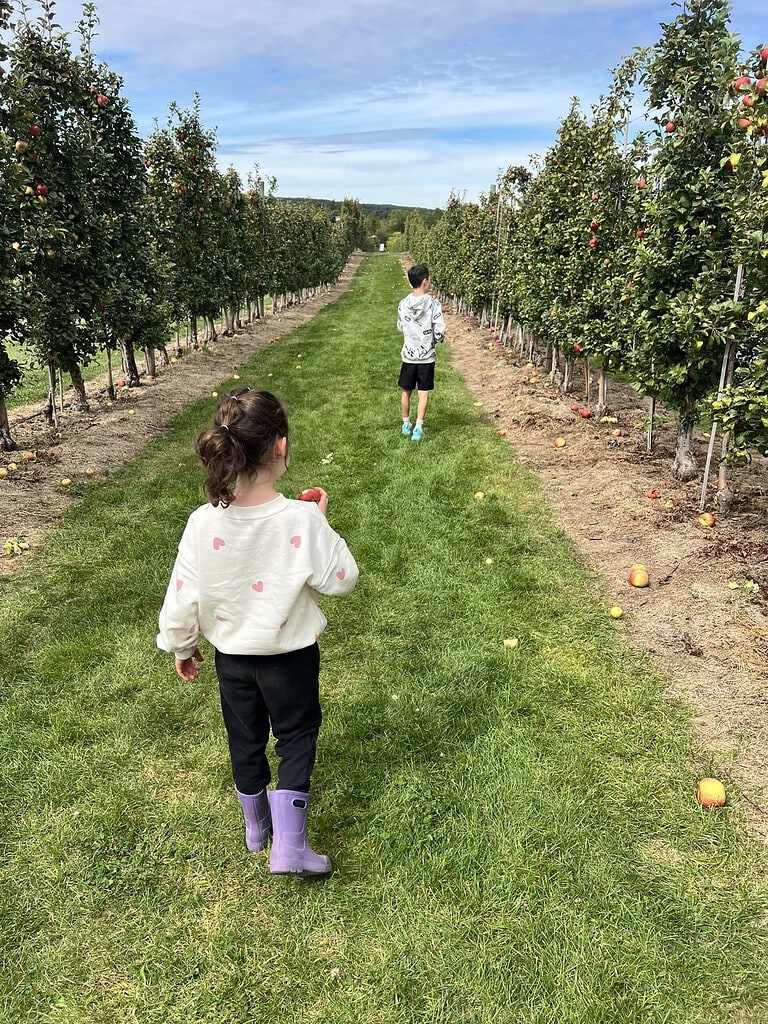 apple orchard kids